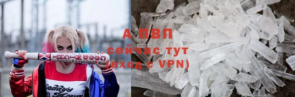 стафф Верхний Тагил